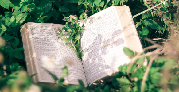 How to Tear Up a Bible