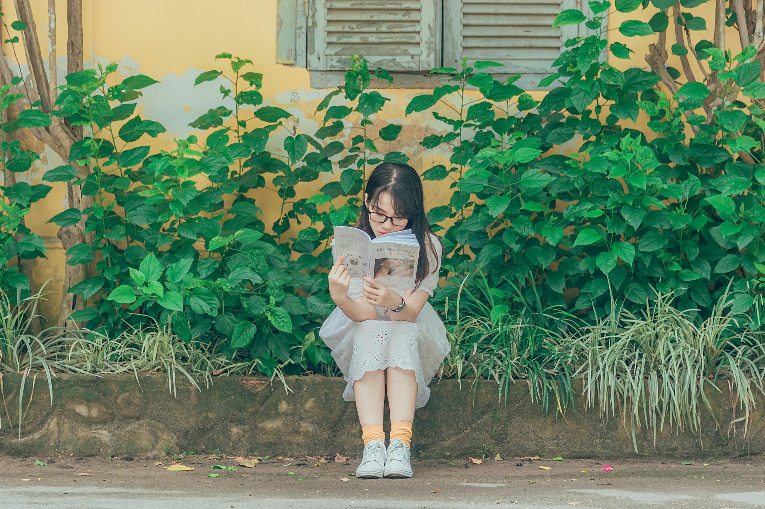 Planted, Flourishing, and Bearing Fruit