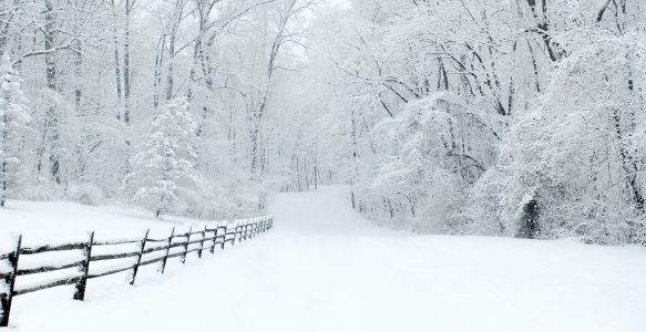 Humbled By Creation