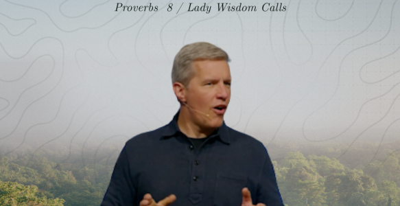 Proverbs 8 | Lady Wisdom Calls